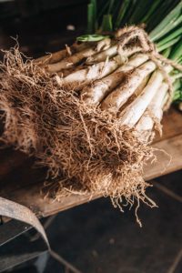 Calçotada - Fortí del Rourell