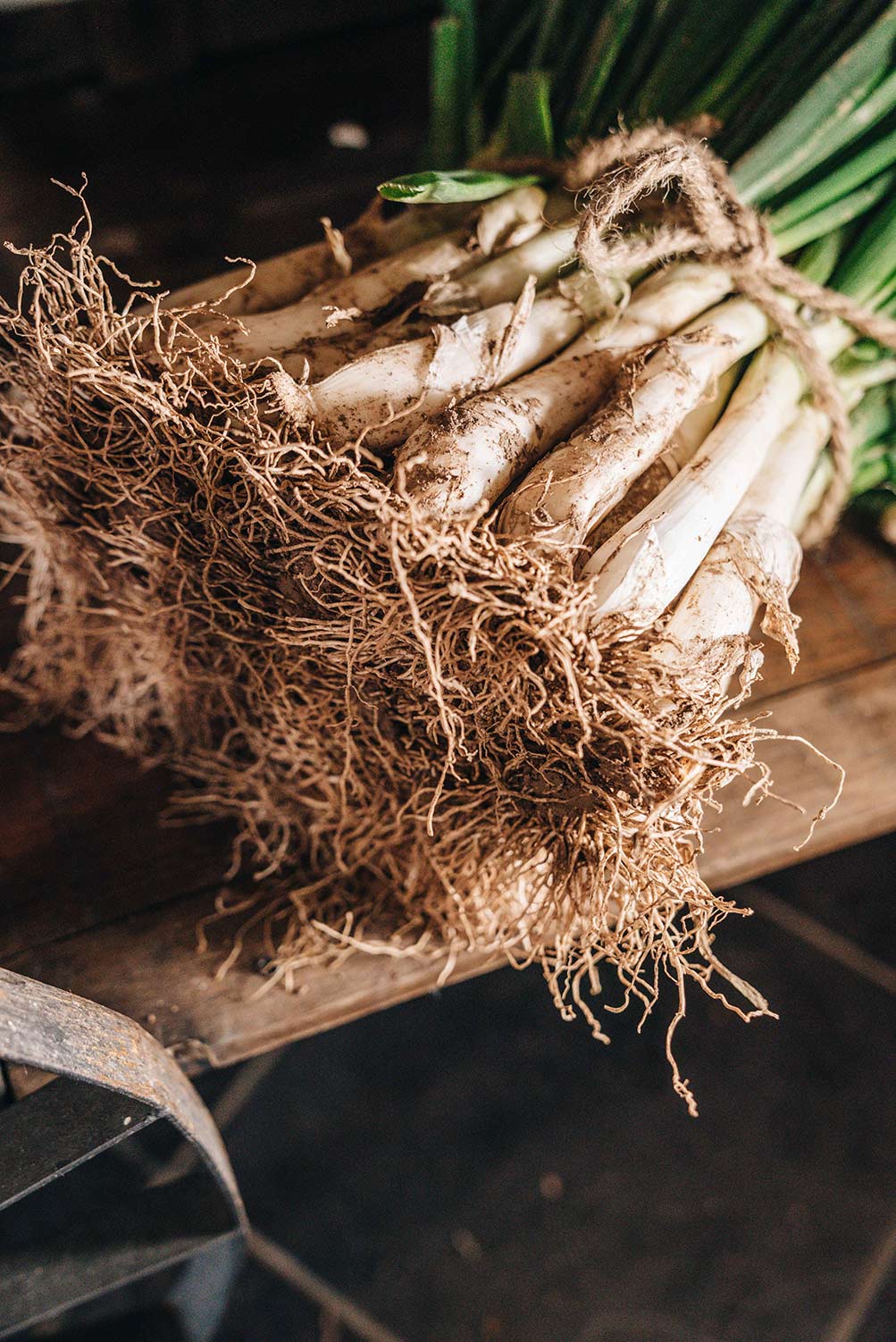 Calçotada - Fortí del Rourell