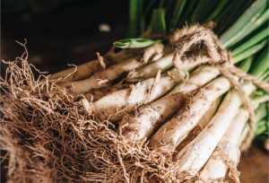 Calçotada en Fortí del Rourell