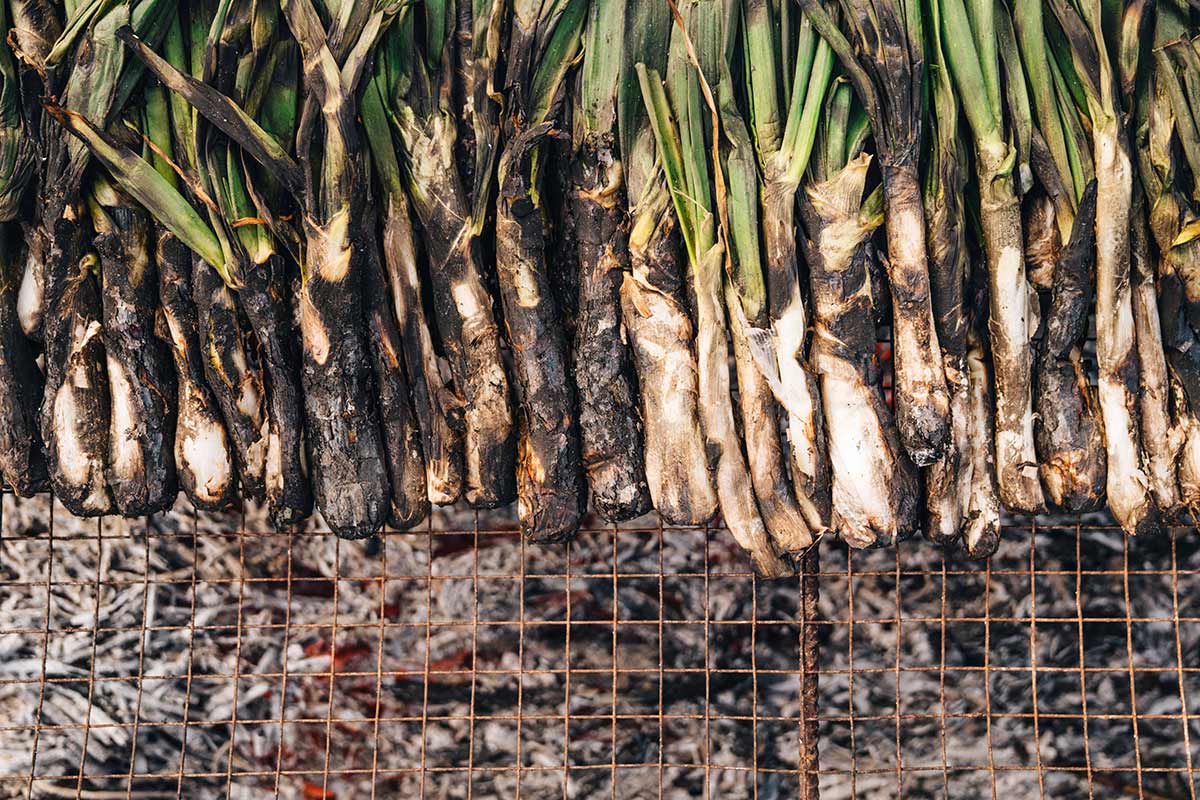 Calçots en Fortí del Rourell